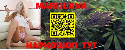 прущие крисы Брянск
