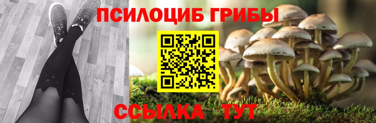 Галлюциногенные грибы мицелий Рассказово